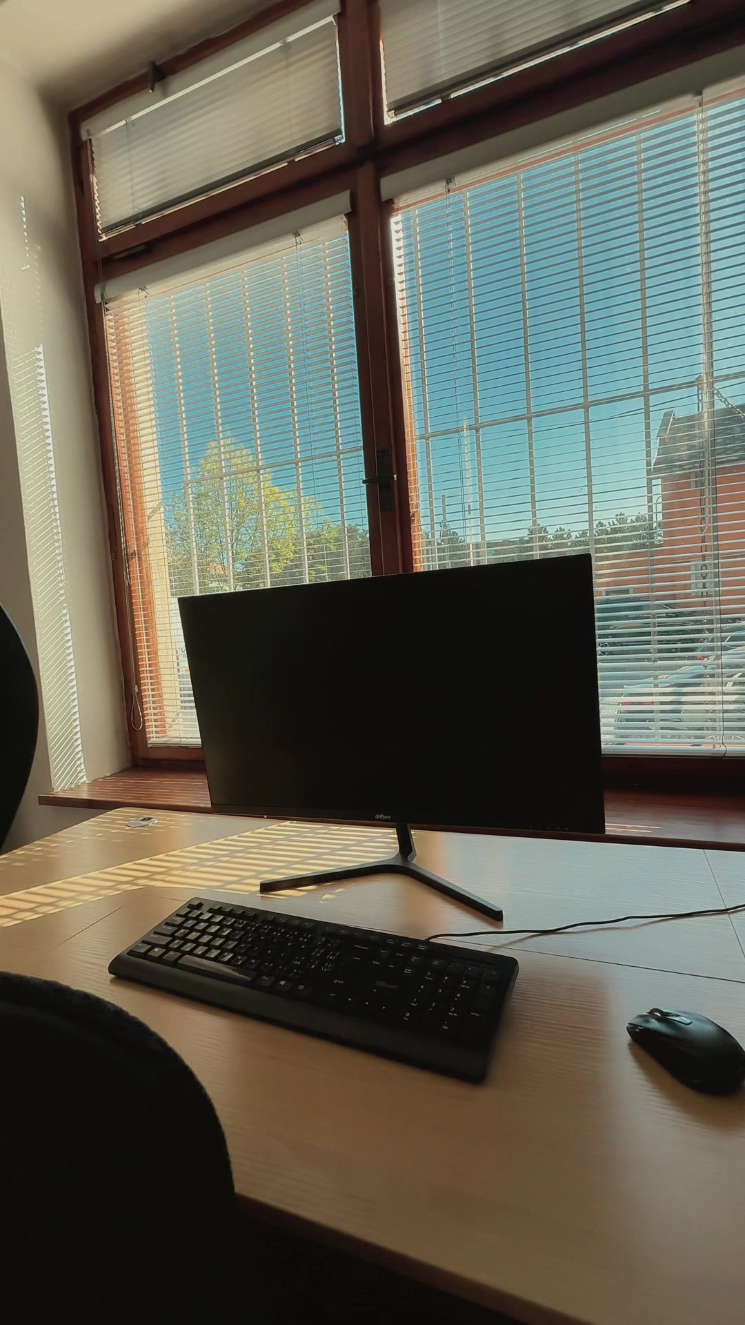Pracovní místo s monitorem